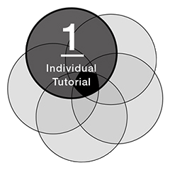 Individual Tutorial