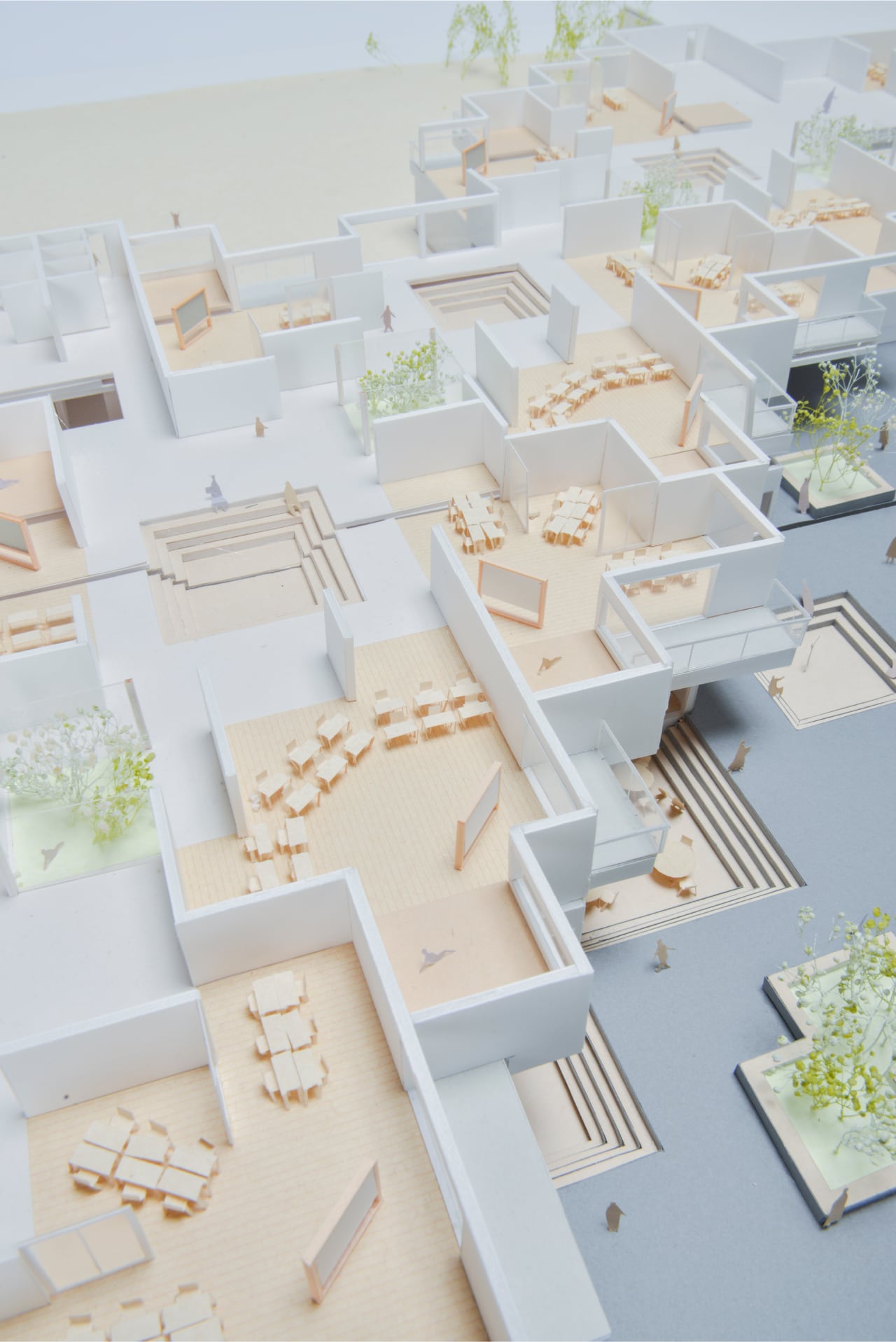 Hiregasaki - Regional Learning Place New Form of Primary School | Yusa Ito