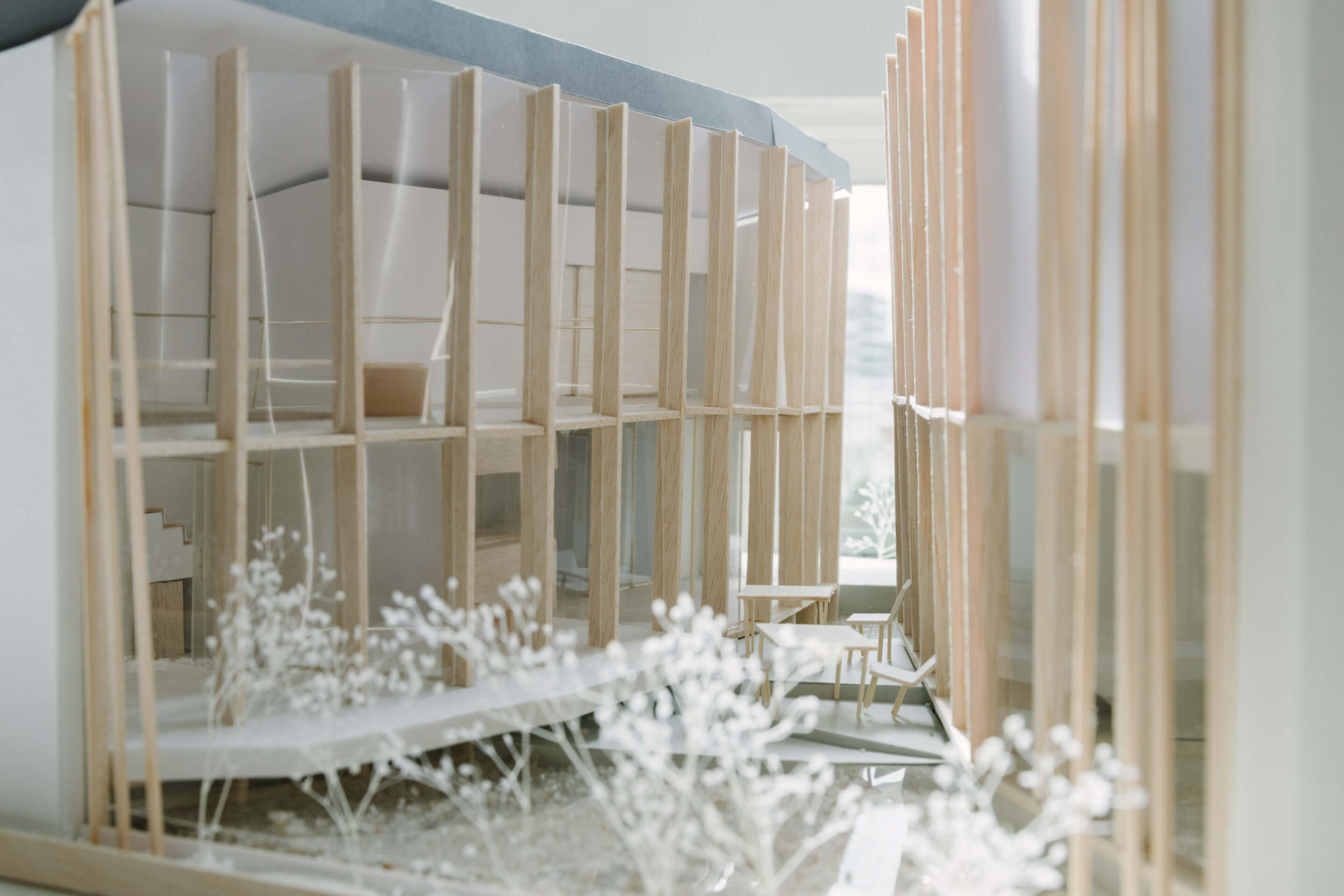 INT｜2年次｜Element 3｜住空間「断面に暮らす家」