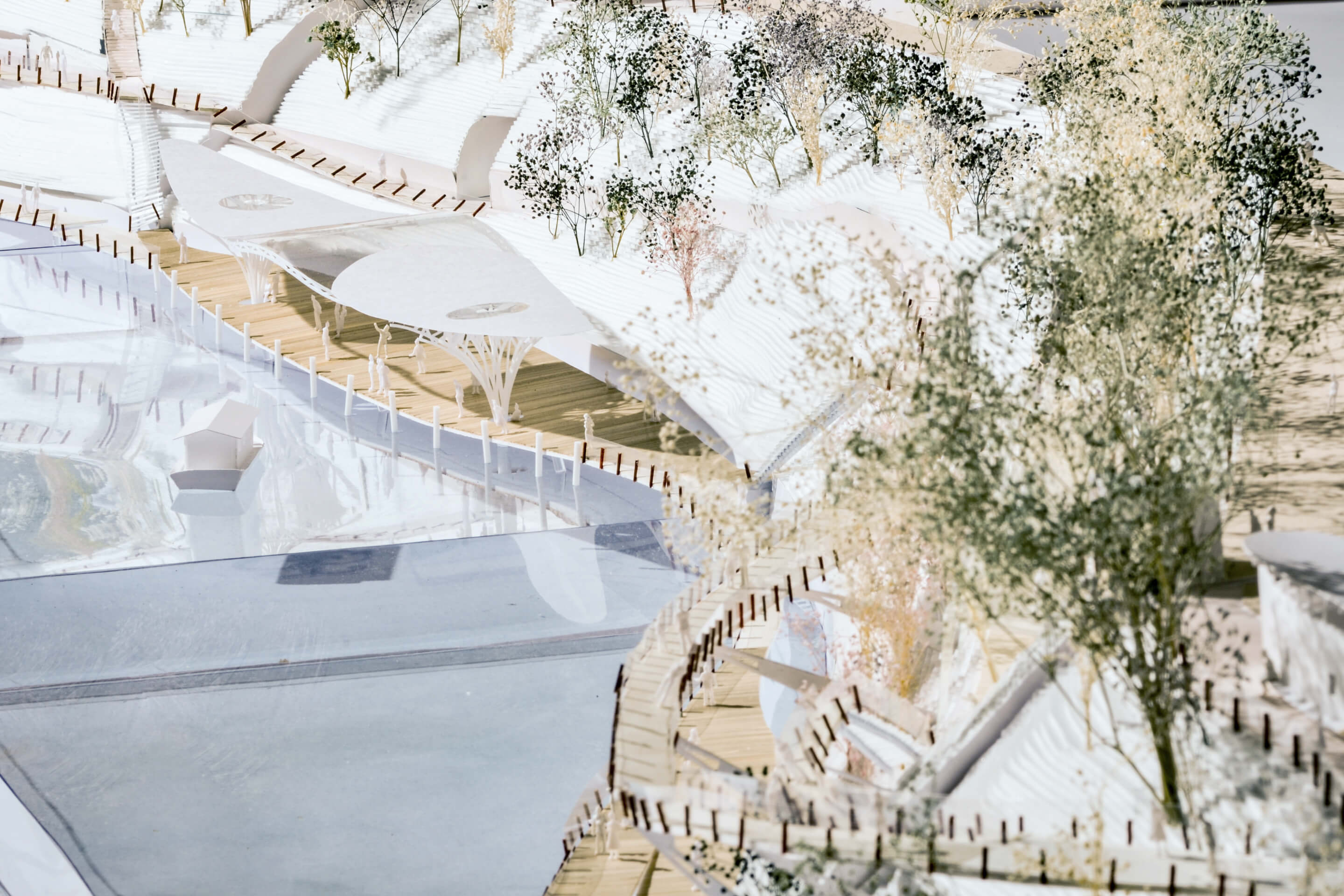 INT｜3年次｜Element 4-6｜自由「卒業制作」