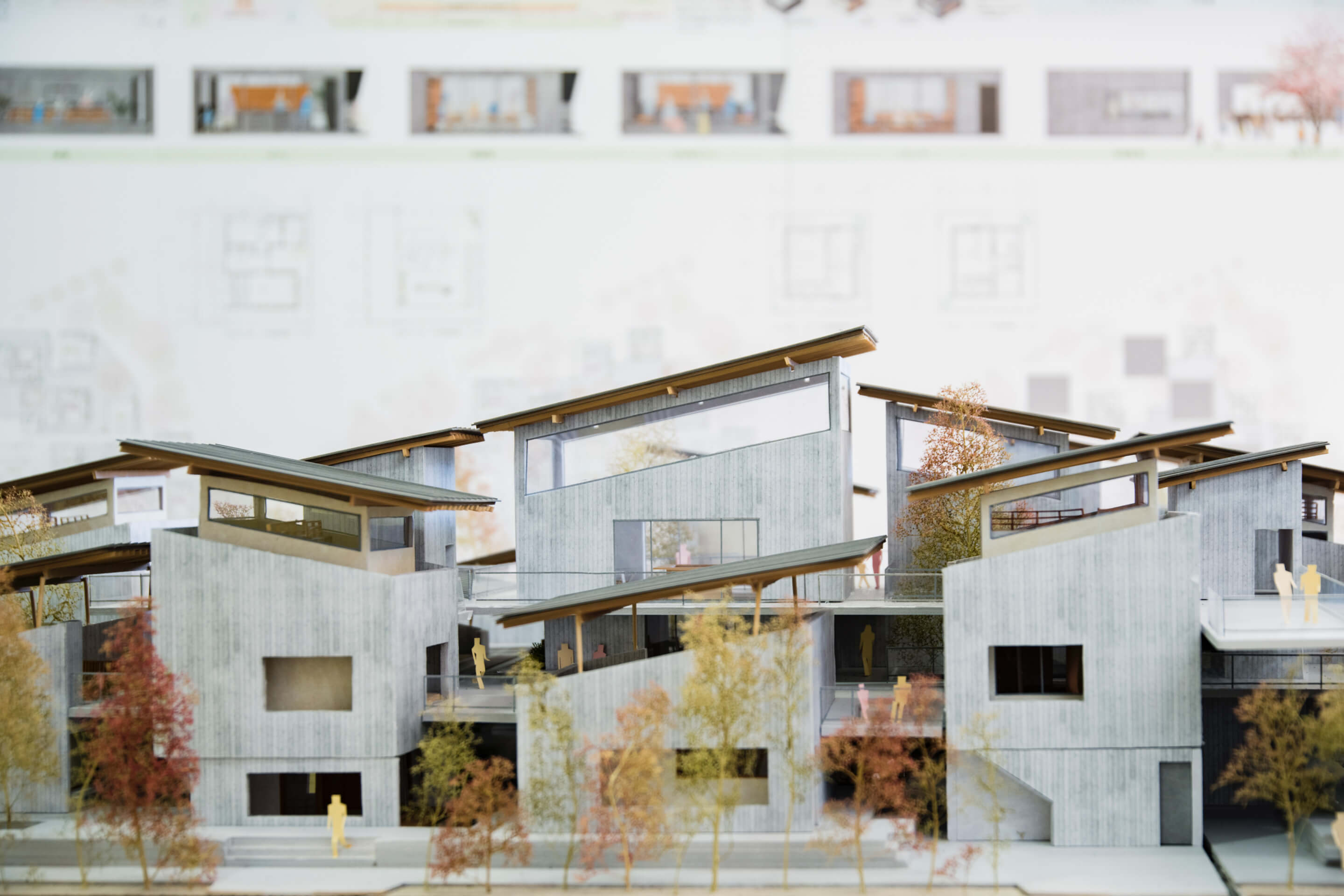 INT｜3年次｜Element 4-6｜自由「卒業制作」